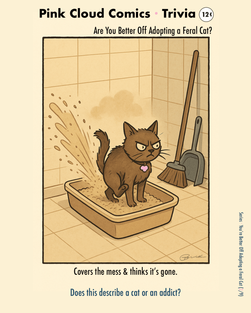 Cat kicks litter out of a box, sending dust into the air; broom and dustpan ignored. Caption: “Covers the mess & thinks it’s gone.”