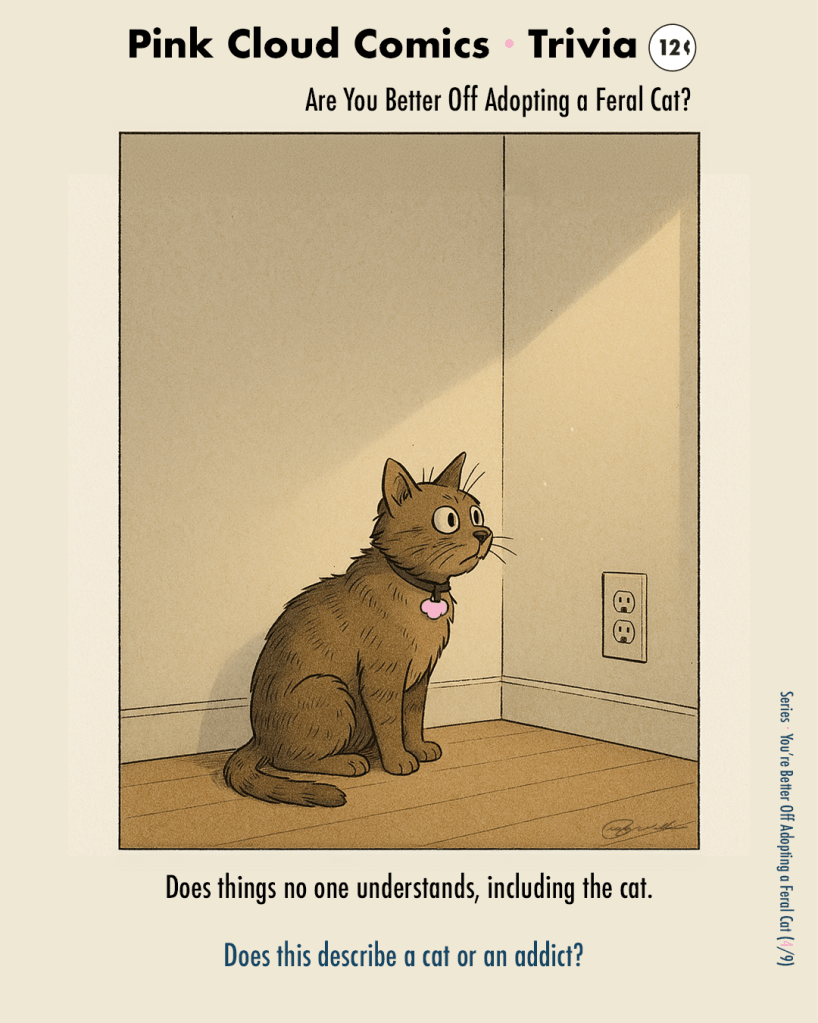 Cat stares at a bare corner lit by late-afternoon light; wall outlet nearby. Caption: “Does things no one understands, including the cat.”