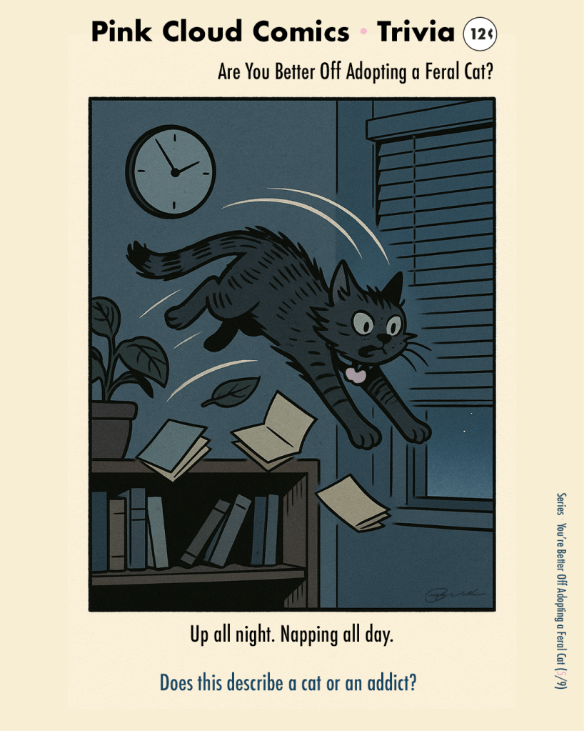 Cat launches from a bookcase at 3:00 a.m.; books scatter mid-air. Caption: “Up all night. Down all day.”