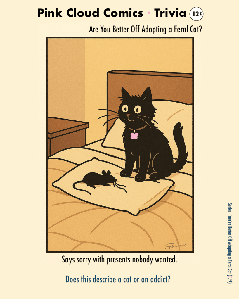 Cat sits proudly on a pillow beside a tidy “gift”; whisker tangled in ribbon. Caption: “Says sorry with presents nobody wanted.”