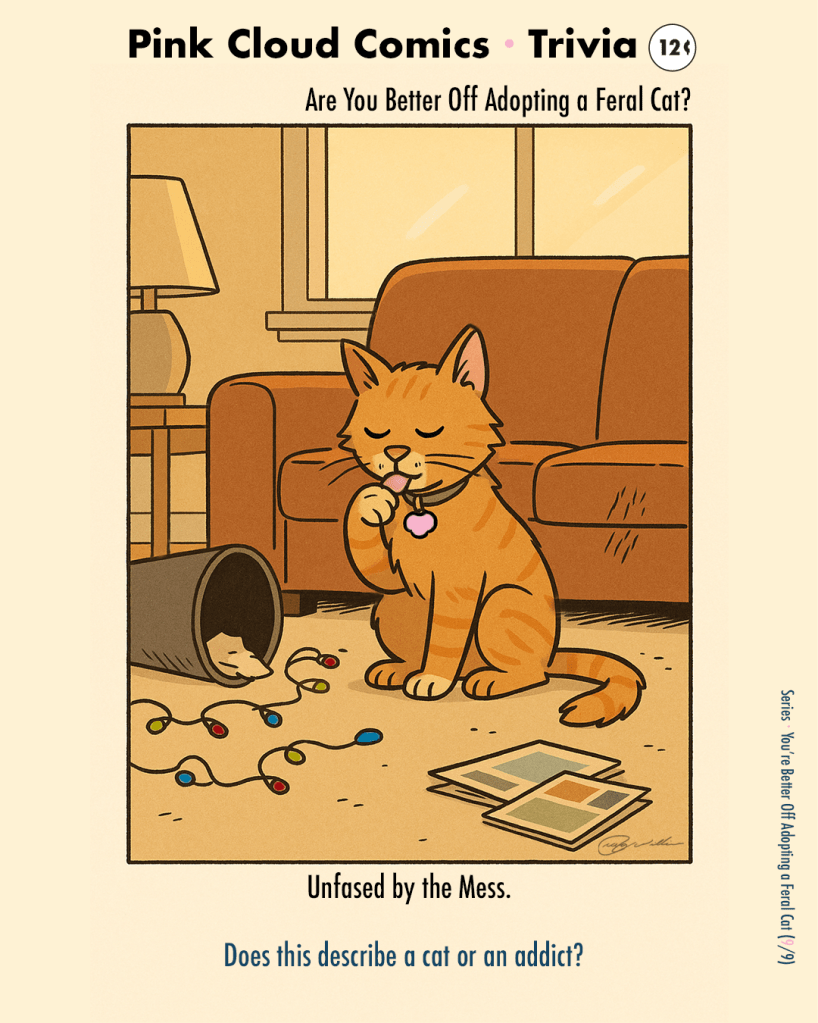 Orange tabby calmly grooms in a trashed living room — tipped trash can, tangled lights, magazines askew. No caption text (silent final).